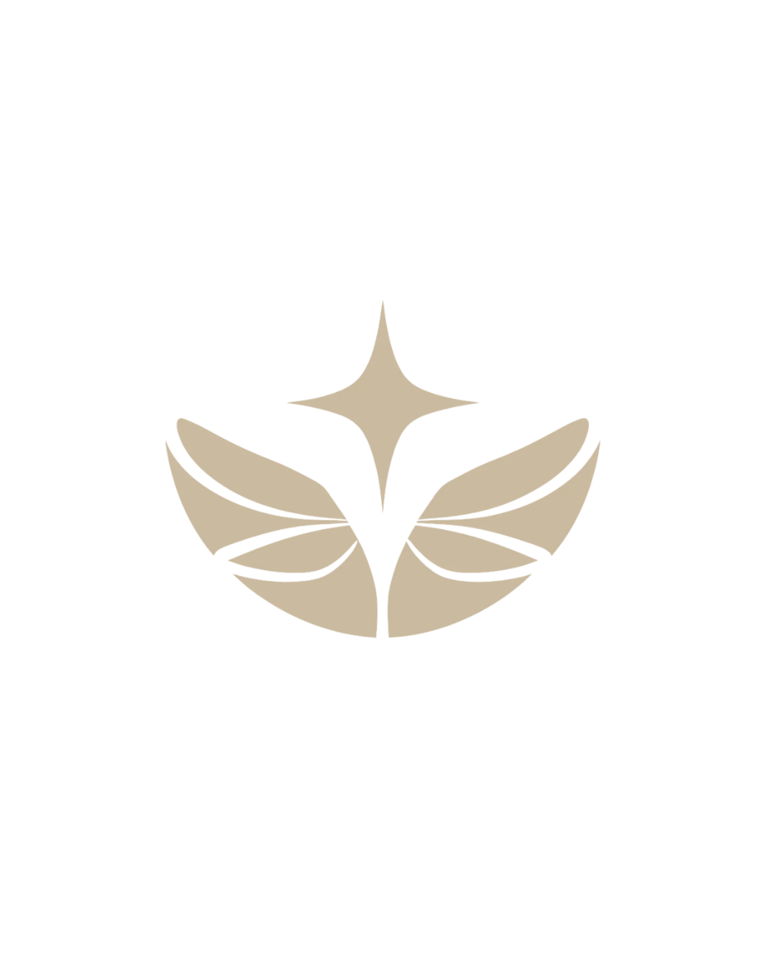 NivRise